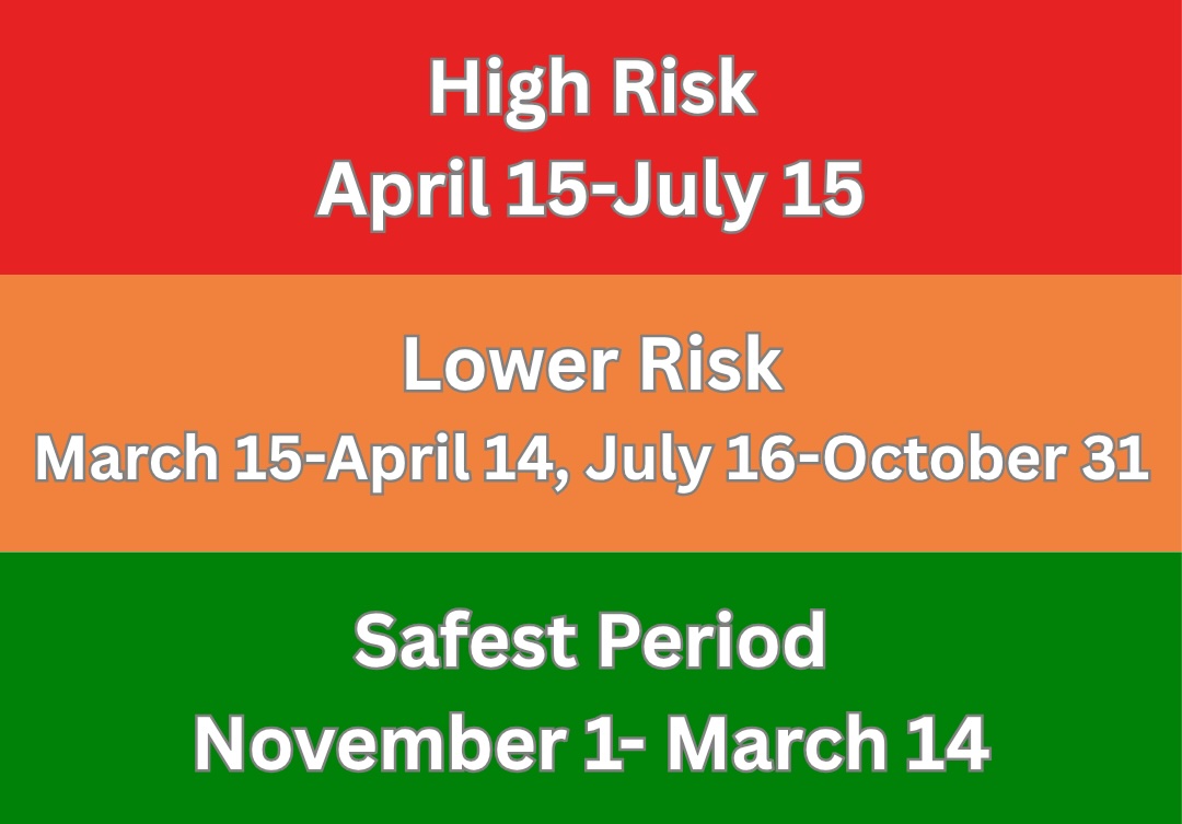 Graphic shares timelines for risk periods for oak trees in relation to the spread of oak wilt. April 15-July 15 is the annual high risk period; lower risk period includes March 15-April 14 and July 16-October 31. The safest period is considered to be November 1 thorugh March 14.